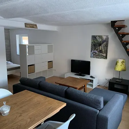 Appartement Ferienwohnung Winterberg Lodge